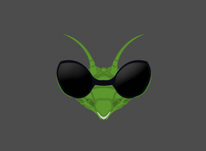 Blindmantis team