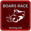 BoarsRace